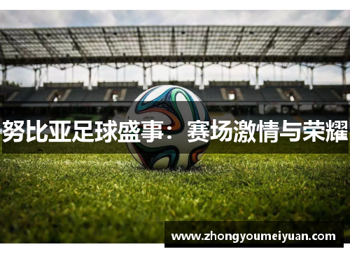 努比亚足球盛事：赛场激情与荣耀